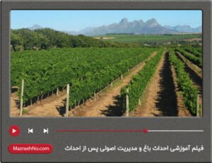 فیلم آموزشی احداث باغ و مدیریت اصولی پس از احداث (پارت دوم)