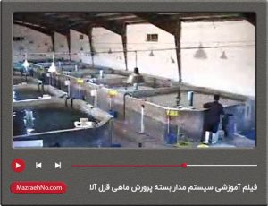 فیلم آموزشی سیستم مدار بسته پرورش ماهی قزل آلا