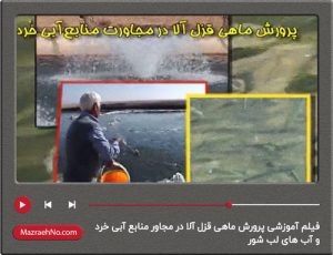 فیلم آموزشی پرورش ماهی قزل آلا در مجاور منابع آبی خرد و آب های لب شور