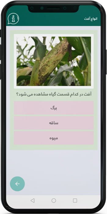 اپ اندروید کنترل و شناسایی آفات ذرت
