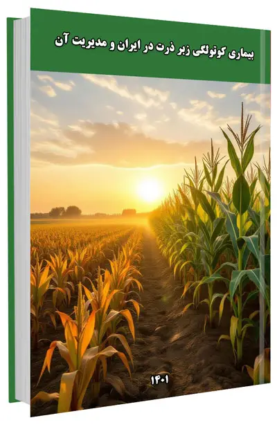 کتاب بیماری کوتولگی زبر ذرت در ایران و مدیریت آن