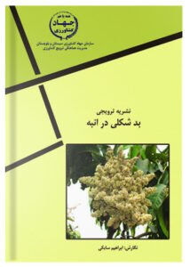 کتاب بیماری بد شکلی انبه