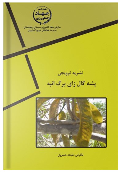 کتاب پشه گال زای برگ انبه