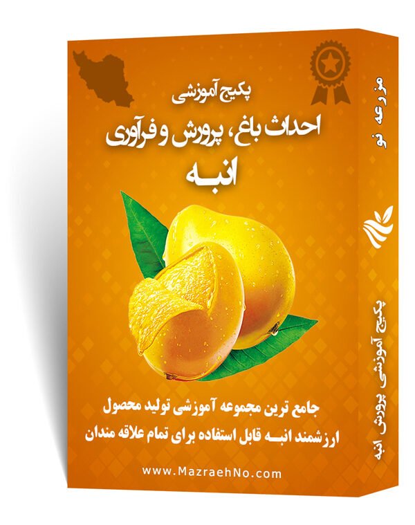 دانلود مجموعه جامع آموزش پرورش انبه