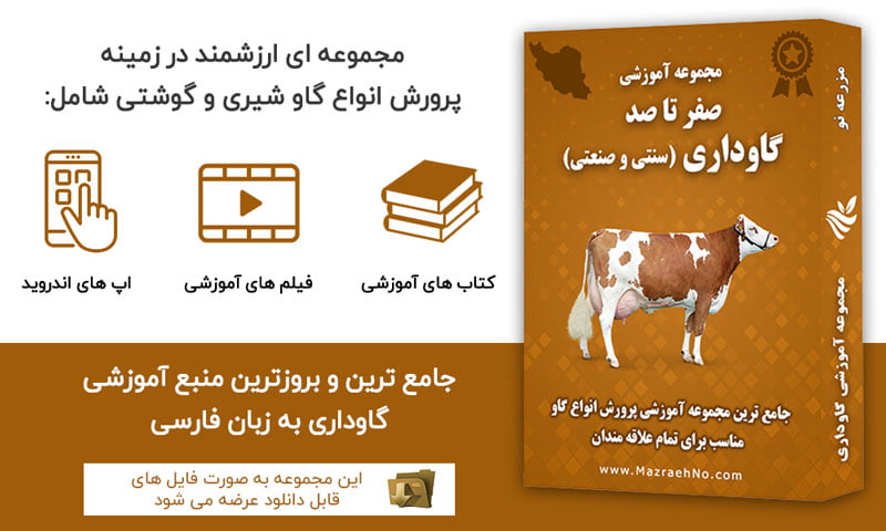 مجموعه جامع آموزش گاوداری (سنتی و صنعتی)