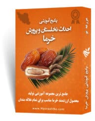 پکیج آموزشی پرورش خرما