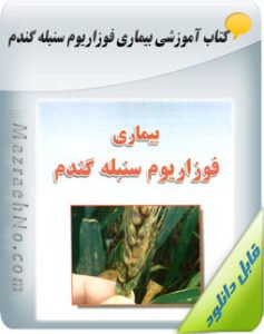 کتاب بیماری فوزاریوم سنبله گندم