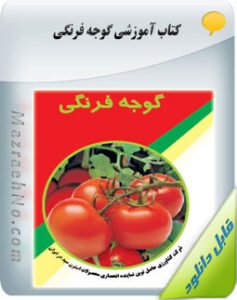 کتاب گوجه فرنگی