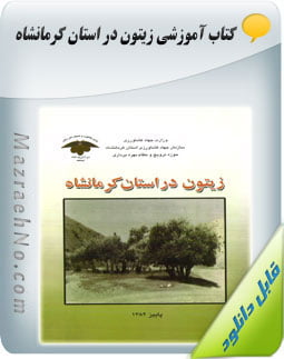 کتاب زیتون در استان کرمانشاه