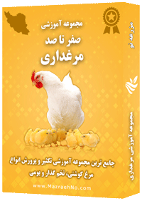 دانلود مجموعه جامع آموزش پرورش مرغ