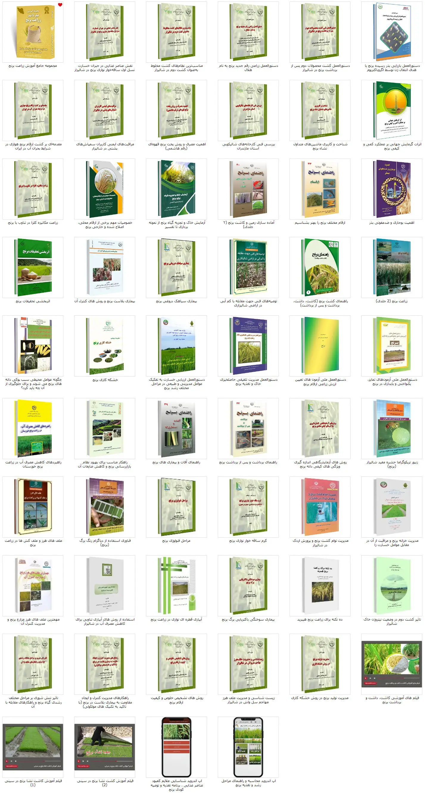 دانلود مجموعه جامع آموزش زراعت برنج 1 rice gallery