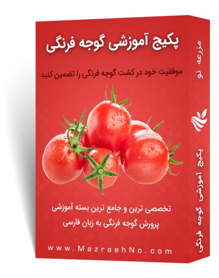 دانلود مجموعه جامع آموزش پرورش گوجه فرنگی