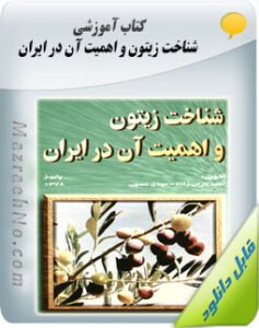 کتاب شناخت زیتون و اهمیت آن در ایران