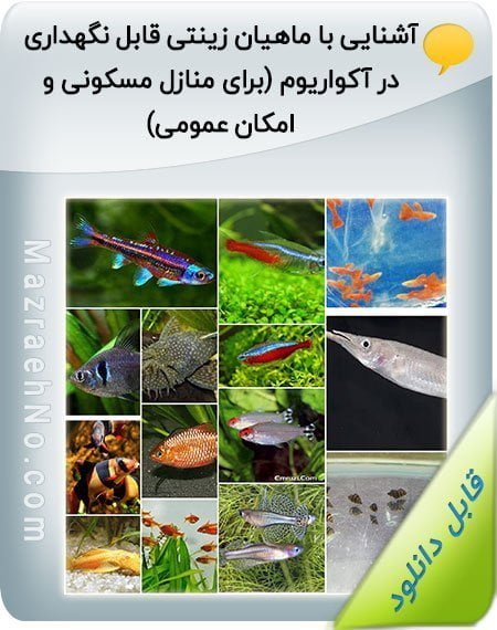 کتاب آشنایی با ماهیان زینتی قابل نگهداری در آکواریوم (برای منازل مسکونی و امکان عمومی)