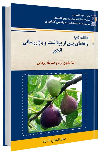 کتاب راهنمای پس از برداشت و بازاررسانی انجیر