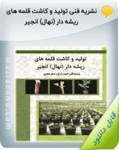 نشریه فنی تولید و کاشت قلمه های ریشه دار نهال انجیر