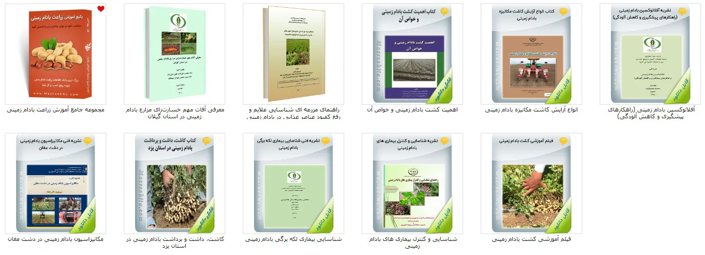 گالری تصاویر فایل های مجموعه آموزش زراعت بادام زمینی