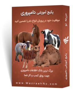 مجموعه آموزشی دامپروری