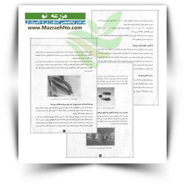کتاب گزانگبین (انگبین گون)