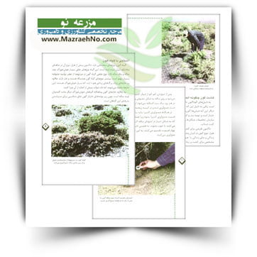 کتاب آشنایی با گیاه گون