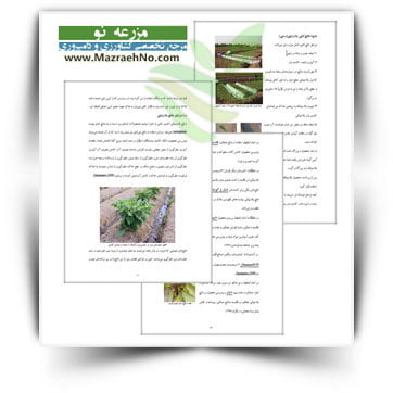 کتاب خاکپوش ها (مالچ) و زراعت سبزی و صیفی