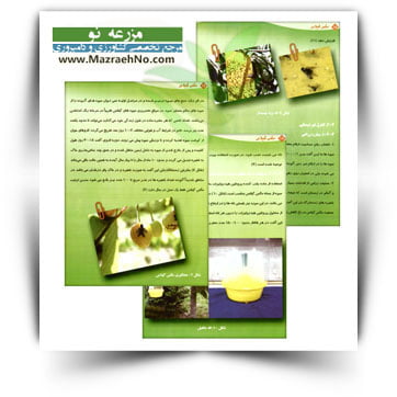 کتاب مگس گیلاس