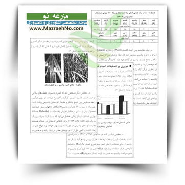 کتاب نقش پتاسیم در افزایش عملکرد و بهبود کیفیت نیشکر