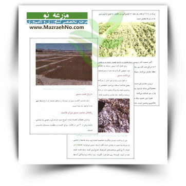 کتاب کشت سیر در سیستان و مناطق مشابه