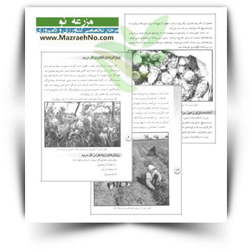 کتاب کاشت، داشت و برداشت گل مریم