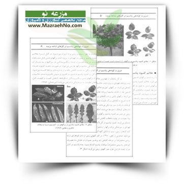 کتاب ضرورت کوددهی پتاسیم در گل های شاخه بریده
