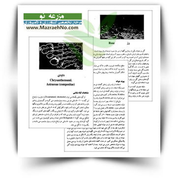 کتاب گل های شاخه بریده