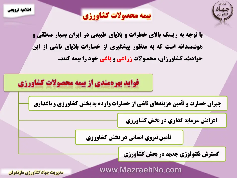 بیمه محصولات کشاورزی و فواید آن