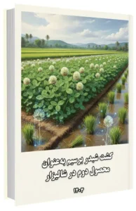 کتاب کشت شبدر برسیم به‌ عنوان محصول دوم در شالیزار