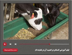 فیلم آموزشی کنسانتره و اهمیت آن در تغذیه دام