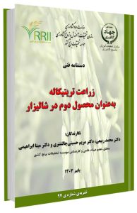 کتاب زراعت تریتیکاله به‌عنوان محصول دوم در شالیزار