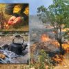 راهکارهای ایمنی آتش سوزی در مناطق جنگلی و مرتعی