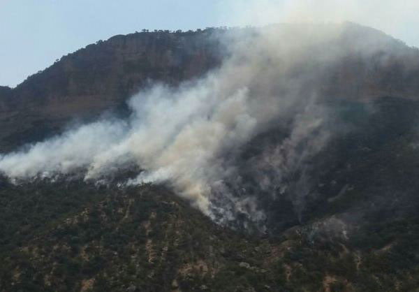 آتش سوزی در مناطق جنگلی