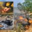 راهکارهای ایمنی آتش سوزی در مناطق جنگلی و مرتعی