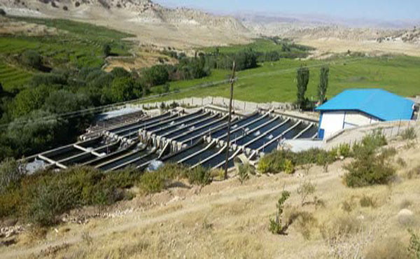 استفاده از تکنیک تولید لایه ای در آبزی پروری