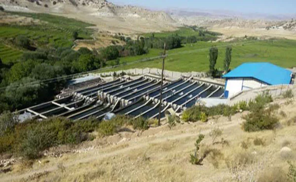 استفاده از تکنیک تولید لایه ای در آبزی پروری