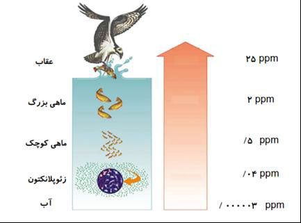 سموم گروه ارگانو کلره