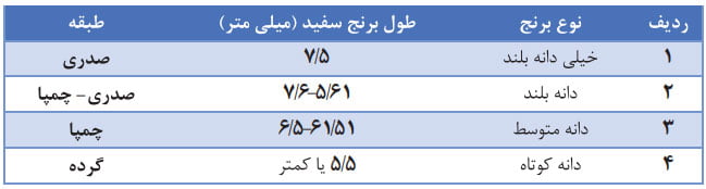 تقسیم بندی انواع برنج از نظر طول دانه