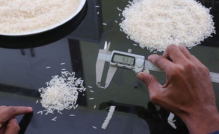 اندازه دانه برنج