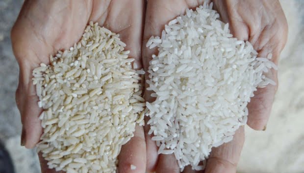 آشنایی با معیارهای کیفیت برنج