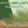 دوره آموزشی فنولوژی گیاهان زراعی