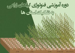 دوره آموزشی فنولوژی گیاهان زراعی