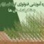 دوره آموزشی فنولوژی گیاهان زراعی