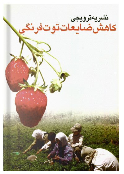 کتاب کاهش ضایعات توت فرنگی
