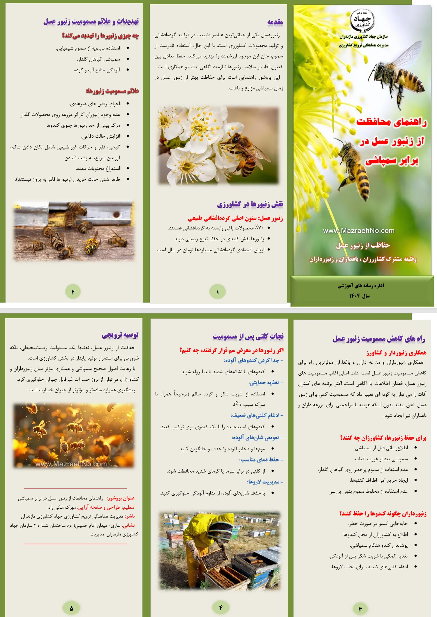 راهنمای محافظت از زنبورعسل در برابر سمپاشی