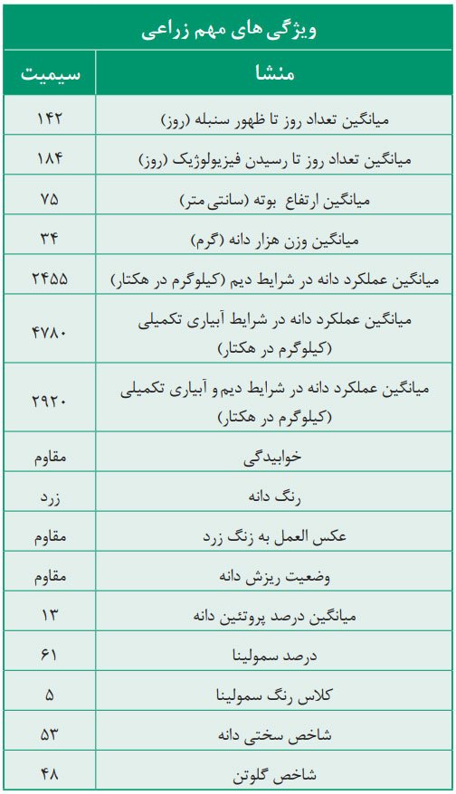 ویژگی های مهم زراعی رقم جدید گندم دوروم سپند